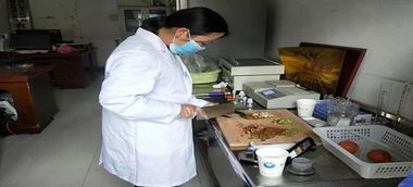 城北街道筑牢農產品質量安全防線 檢驗檢測服務提質增效